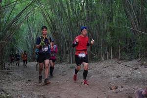 BIB: 3803, 3612
                            <button type="button" onclick="openModal(4346685)" class="btn btn-primary btn-sm float-right btn-popup" data-toggle="modal" data-target=".modal-high-quality">
                        <i class="fas fa-shopping-cart"></i> Add to Cart
                    </button>
                                            <button type="button" onclick="isThisMe(4346685, true)" class="btn btn-success btn-sm float-right btn-popup btn-isme hidden" data-toggle="tooltip" data-placement="bottom" title="นี่คือรูปของคุณใช่ไหม คลิกที่นี่เพื่อเอาเข้าอัลบั้ม">
                        <i class="fas fa-plus"></i> Add to album
                    </button>
                    <button type="button" onclick="isThisMe(4346685, false)" class="btn btn-warning btn-sm float-right btn-popup btn-isnotme hidden">
                        <i class="fas fa-ban"></i> Remove from album
                    </button>